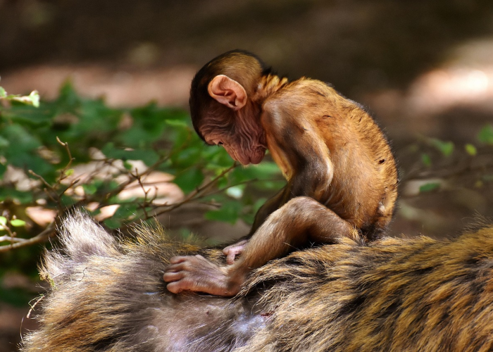 中高风险地区最新名单表(中高风险地区最新名单最新2021)