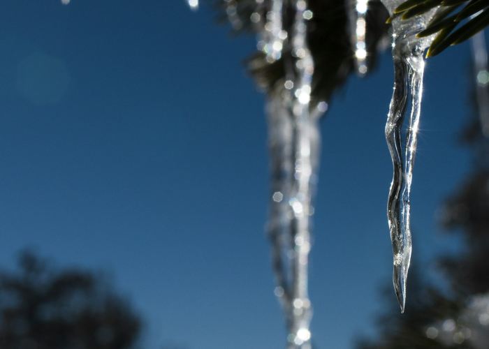 吉林省本轮疫情现2条传播链·吉林省传染疫情通报 🕑