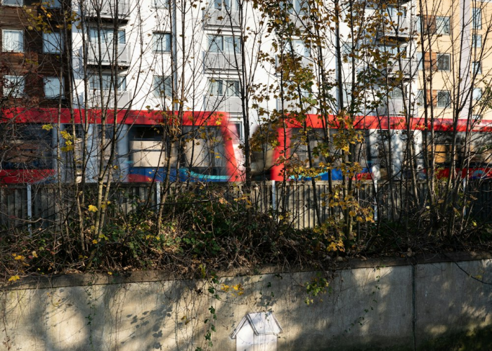 关于完善全国统一电力市场体系的实施意见《【早知道】国务院国资委推动央企扩大算力有效投资；国务院办公厅印发》