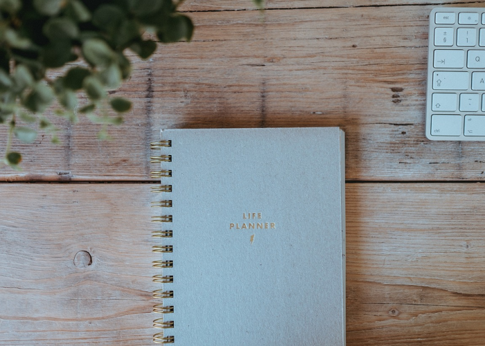 辽宁沈阳新增1例本土确诊病例辽宁沈阳新增1例本土确诊病例轨迹