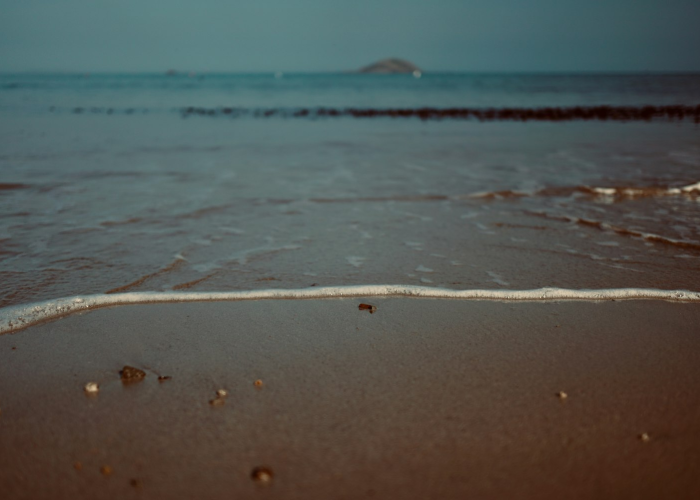 扬州毛老太最终处理结果扬州毛老太被判多少年