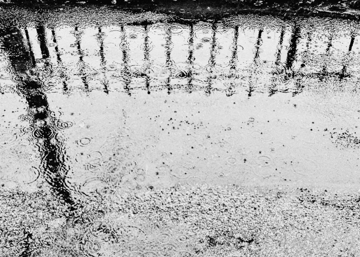 杭州新增7例本土确诊轨迹公布 → 杭州 新增确诊