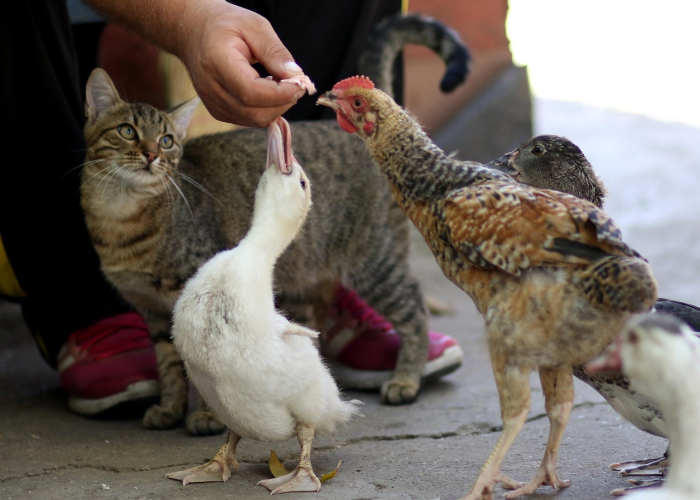 广东疫情最新新增广东疫情新增详情