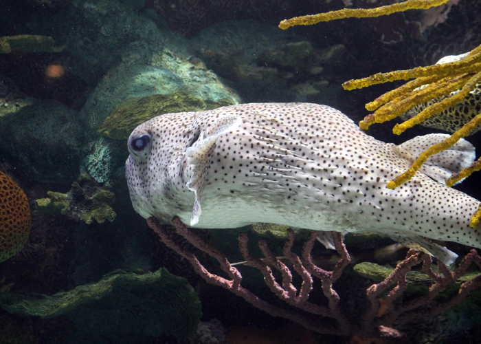 河北邢台新增2例外省输入无症状河北邢台新增两例