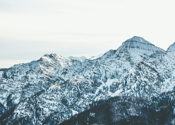 郑州发布28号通告最新(郑州发布28号通告)