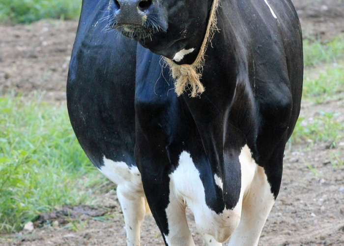 873653（天和盛）