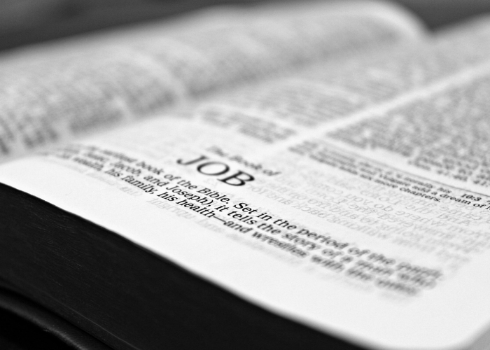 北京新冠病毒北京新冠病毒最新消息今天 ◾