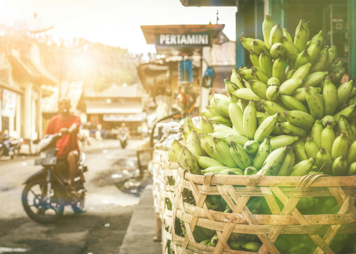 北京市疫情最新情况,北京市疫情最新报道