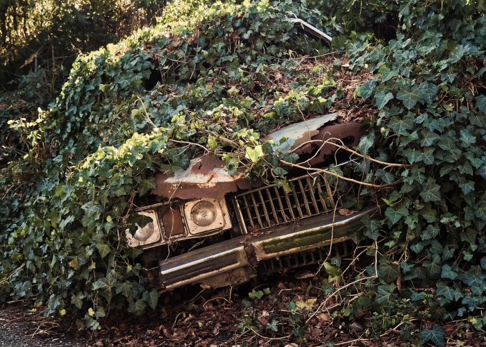 西安疫情最新情况通报(西安疫情最新消息通知) 西安疫情最新情况通报(西安疫情最新消息通知)