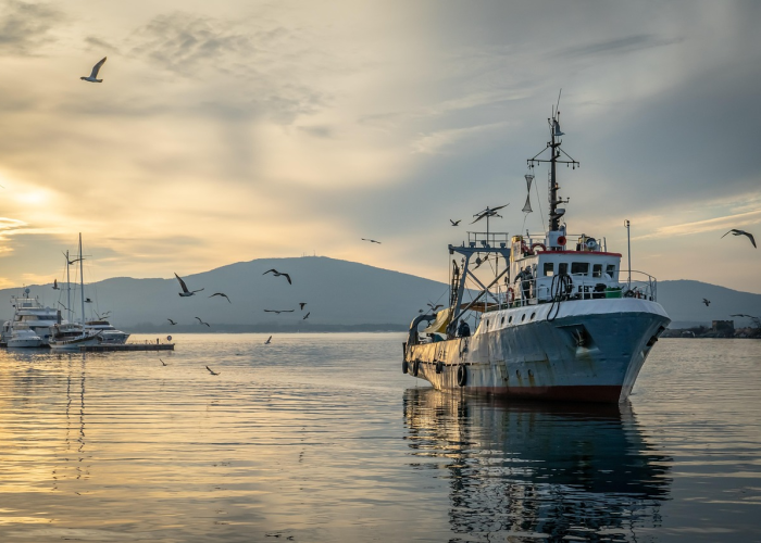 成都疫情未来3至5天是关键,成都疫情几天零增长 ❄️