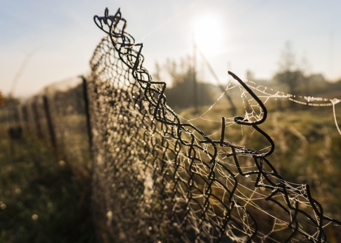 中粮资本：公司是央企控股上市公司，并非地方国资委上市公司