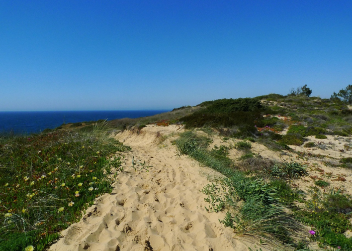 山东新增本地确诊病例1例›山东新增本地确诊病例1例是哪里的 山东新增本地确诊病例1例›山东新增本地确诊病例1例是哪里的