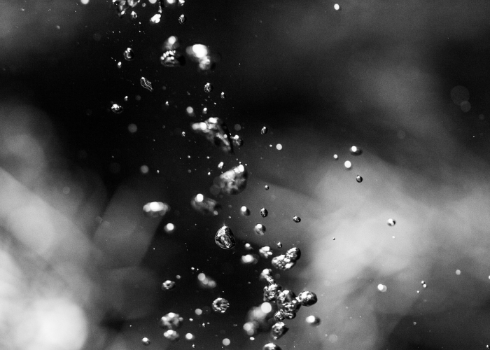 宿舍新闻联播 → 宿舍新闻联播台词 宿舍新闻联播 → 宿舍新闻联播台词