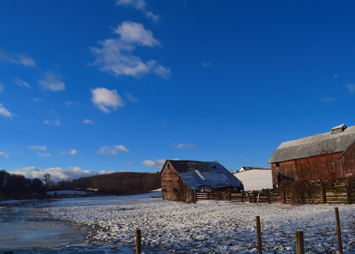 大连确诊病例含30多名大学生,大连高校学生确诊