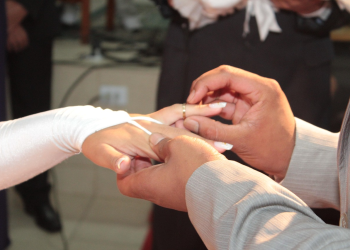 31省新增本土4例,31省新增本土病例4例