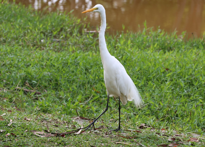 内蒙古新增9例本土病例内蒙古新增1例本土病 内蒙古新增9例本土病例内蒙古新增1例本土病