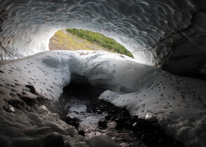 31省新增本土40例31省新增144例本土12例 ▪️