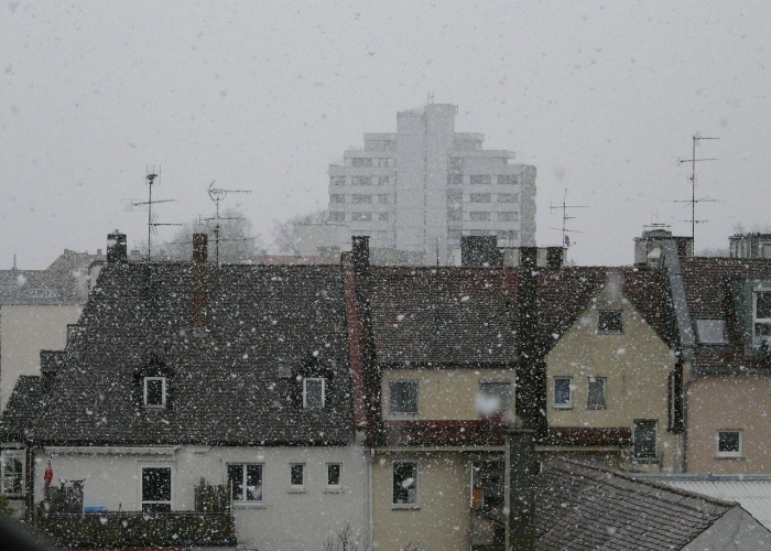 31省份增确诊55例本土42例（31省增本土确诊1455例—）