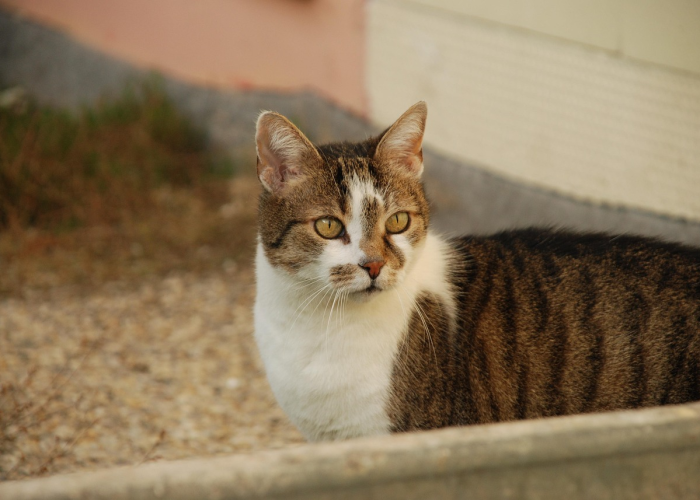 关于二十大几号闭幕的信息