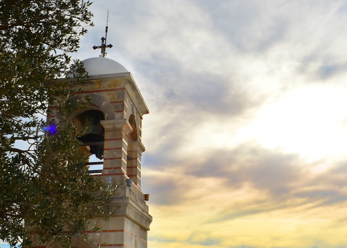 白宫：特朗普将于今晚7点推出TrumpRx网站