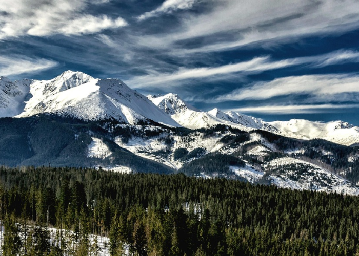 🔴 江苏新增35例本土,江苏新增31例