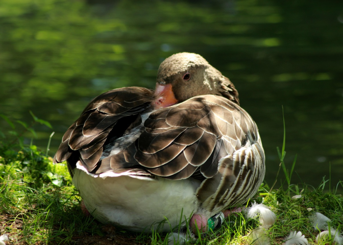 上海做核酸捅鼻子吗(上海一核酸点被砸涉事男子被处罚)