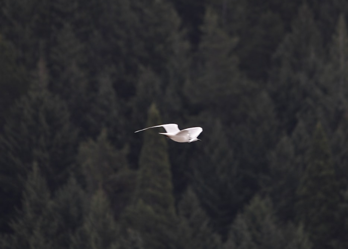 辽宁朝阳疫情,辽宁朝阳疫情什么时间封城了 辽宁朝阳疫情,辽宁朝阳疫情什么时间封城了