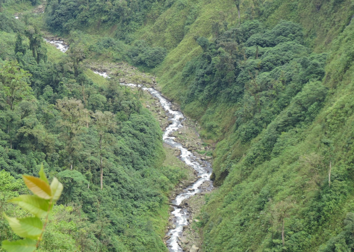 嘉年华多少钱›嘉年华多少钱一个主播能拿多少